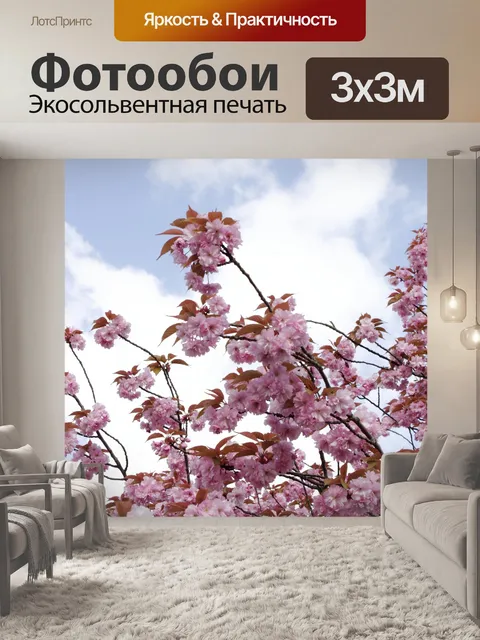 Фотообои Фон