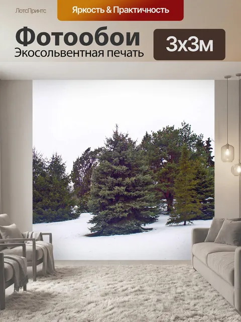 Фотообои Вечнозеленые деревья в снегу