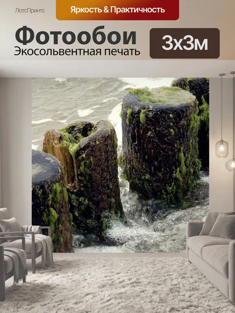 Фотообои Водоросли