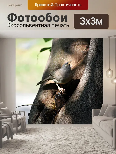 Фотообои Птица