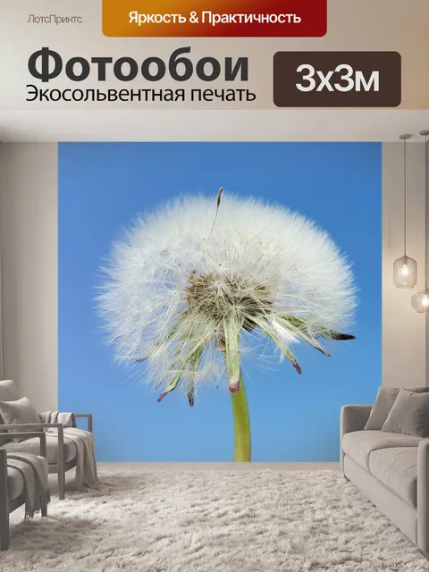 Фотообои Одуванчик