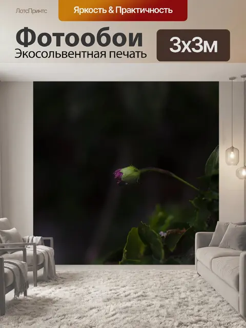 Фотообои Цветы