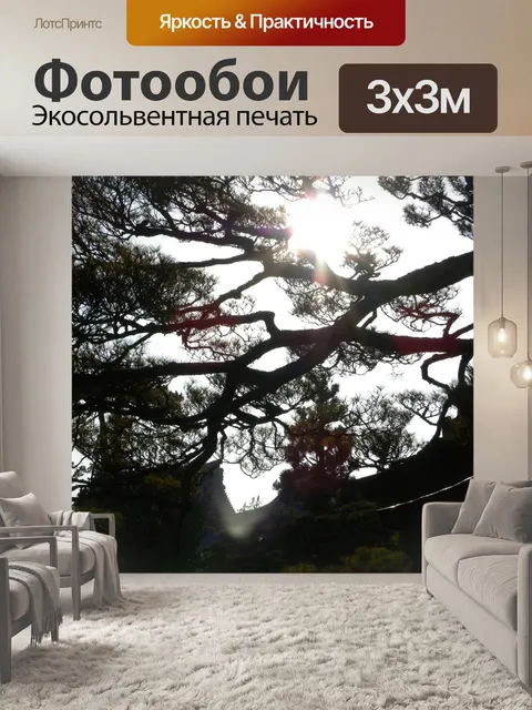 Фотообои Лес
