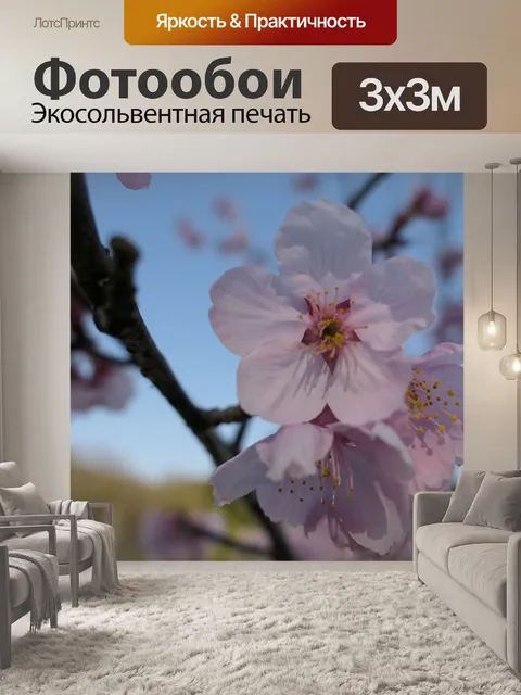 Фотообои Цветы