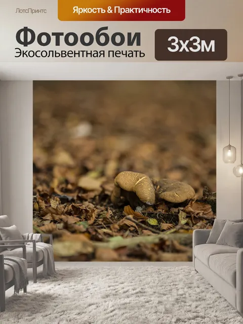 Фотообои грибы