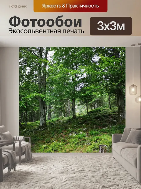 Фотообои Лес