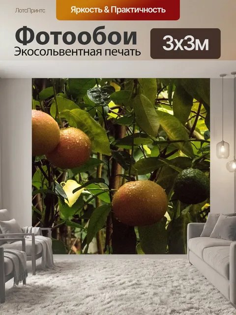Фотообои Грейпфрут