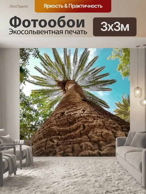 Фотообои Пальма