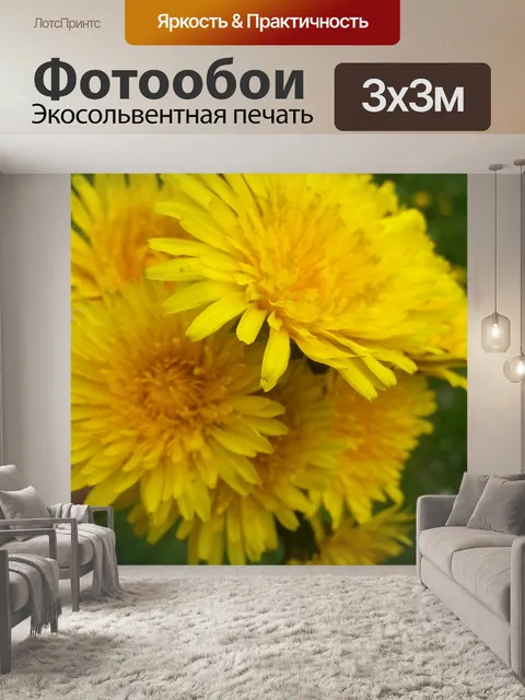 Фотообои Монахини