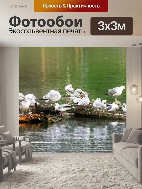Фотообои Птицы