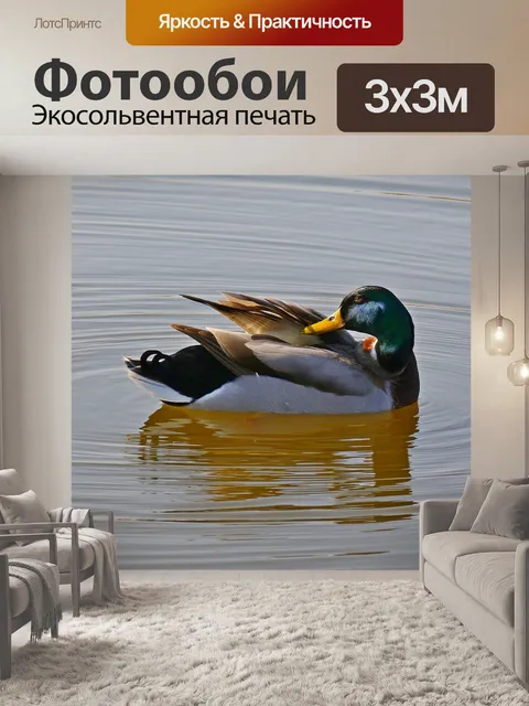 Фотообои Природа