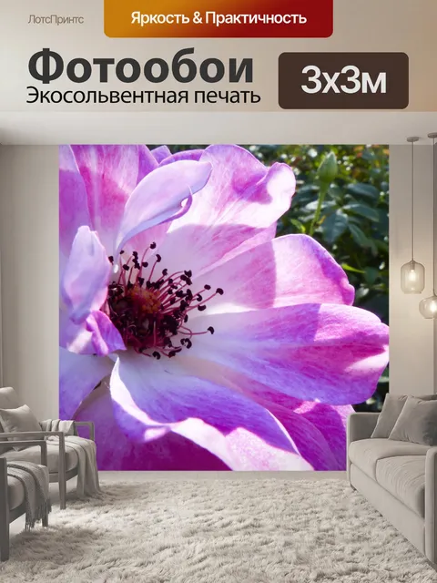 Фотообои Розовые розы Полностью Открыть