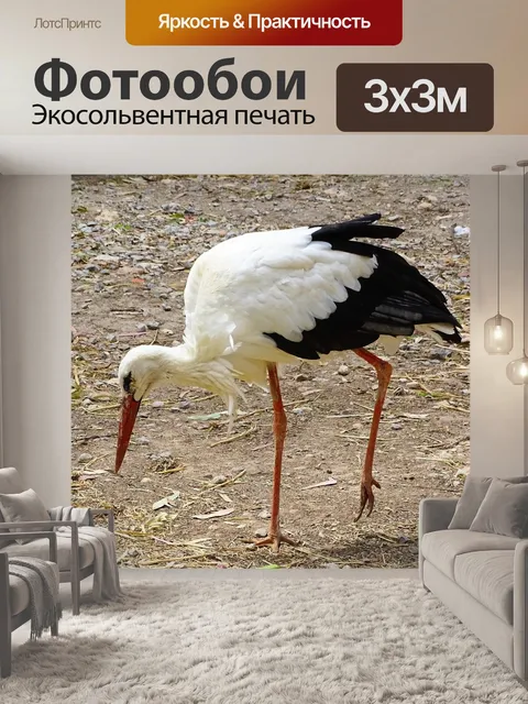 Фотообои Аист
