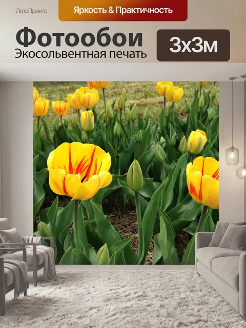 Фотообои Цветы