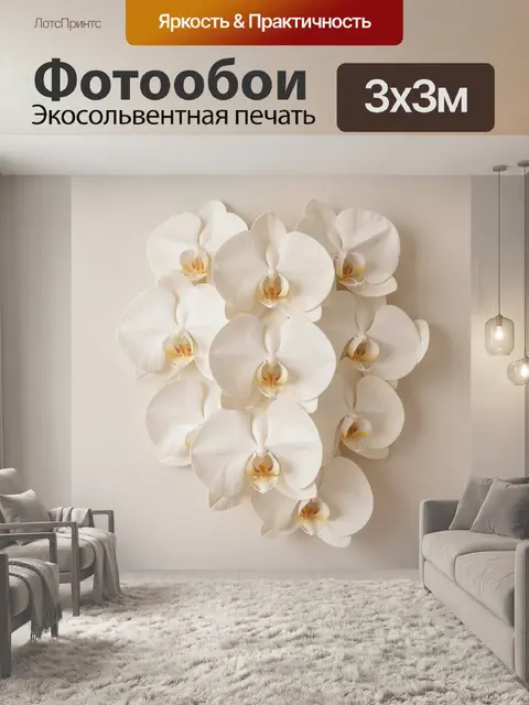 Фотообои Белые орхидеи в мягком свете