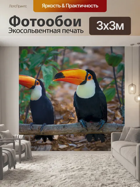 Фотообои Тукан