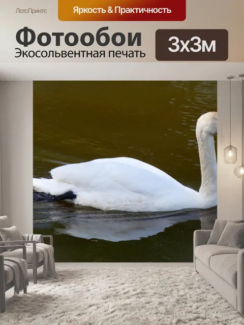 Фотообои Птицы
