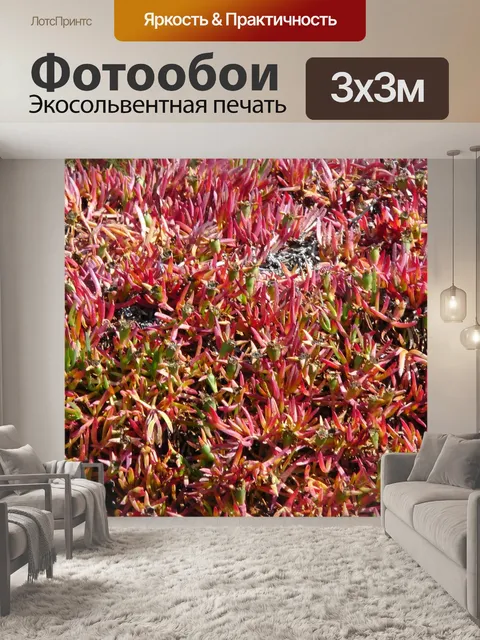 Фотообои Shrubbery фона