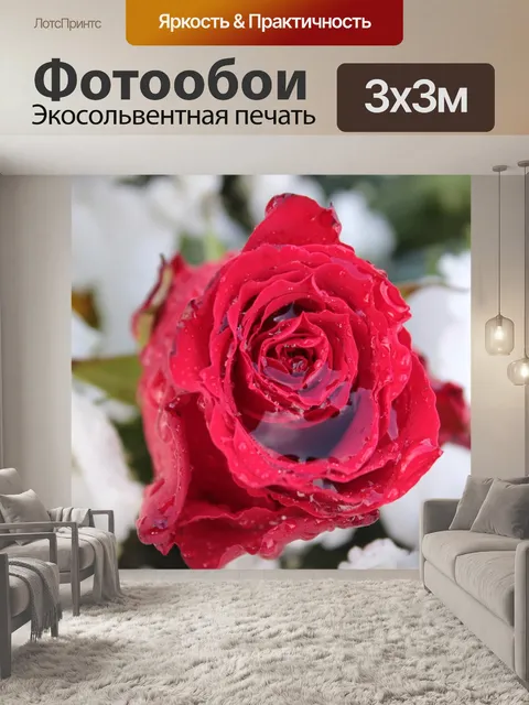 Фотообои Розы