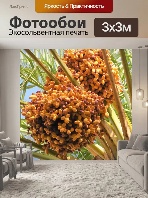 Фотообои Ладони