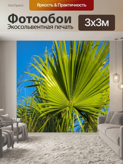 Фотообои Пальмовый лист и небо