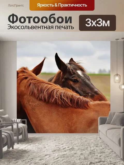 Фотообои Лошади