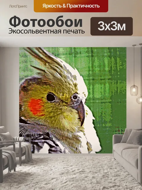 Фотообои Cockatiel