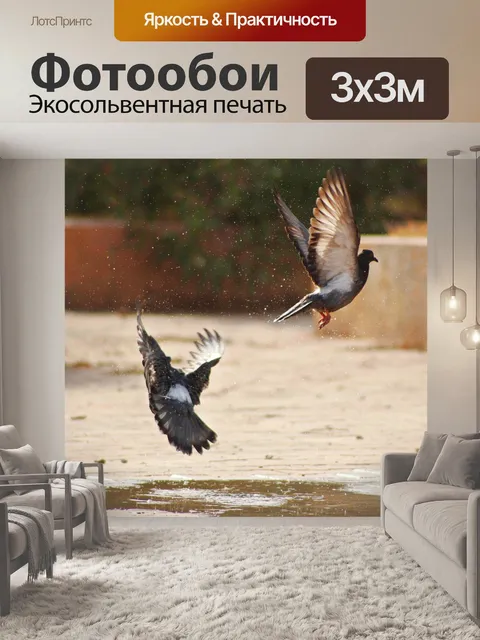 Фотообои Птица
