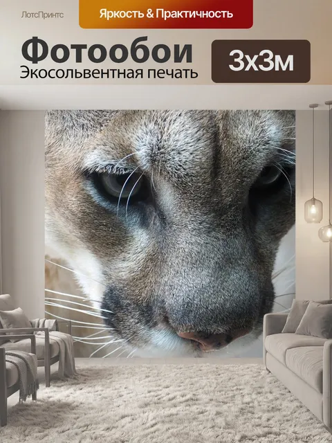Фотообои Горный лев