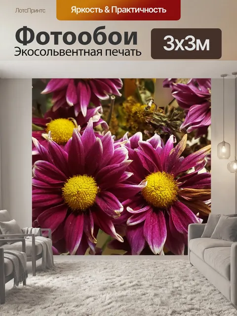 Фотообои Фиолетовые цветы