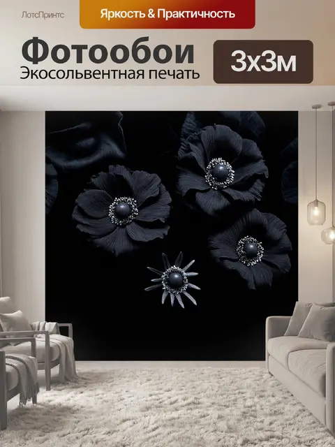 Фотообои черный с черным бархатным фоном