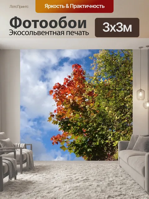Фотообои Клен