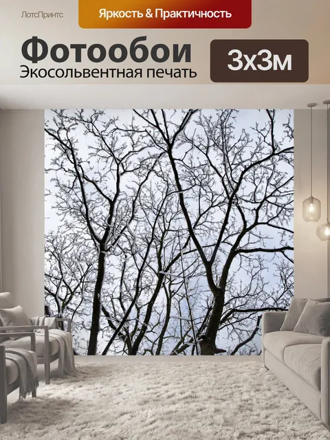 Фотообои Снежный Три отделения