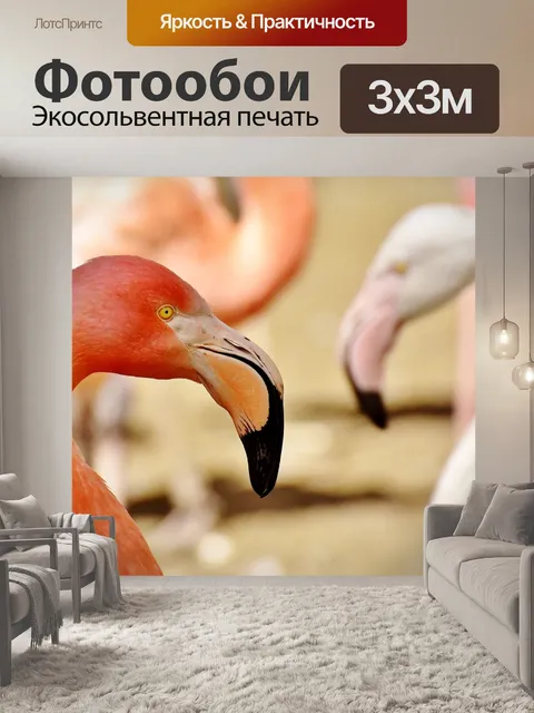 Фотообои Фламинго