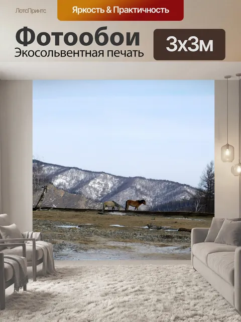 Фотообои Лошадь