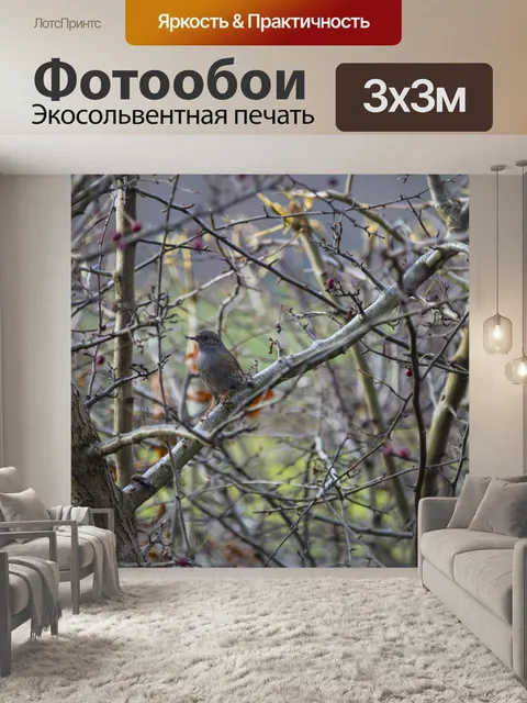 Фотообои птица