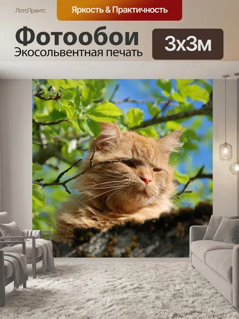 Фотообои Кот