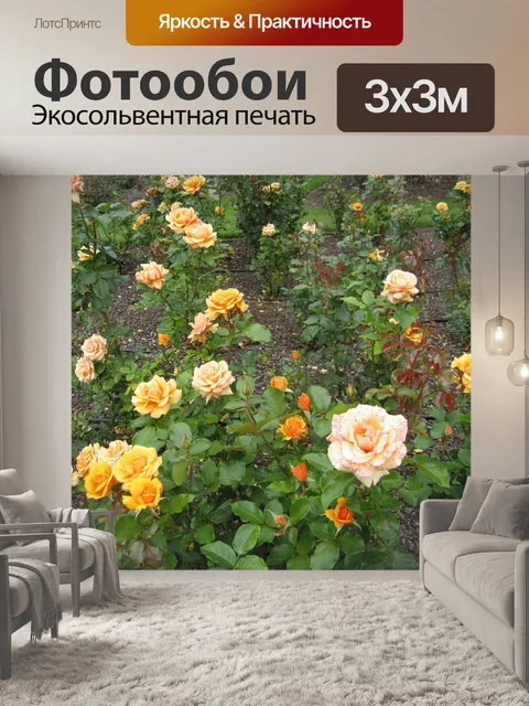 Фотообои Розы