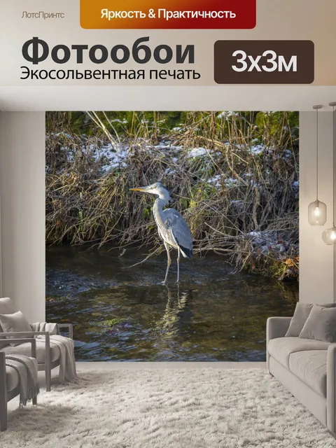 Фотообои Большая голубая цапля