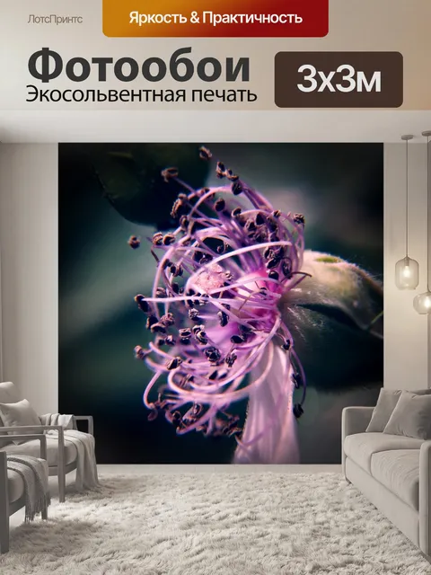 Фотообои Роза