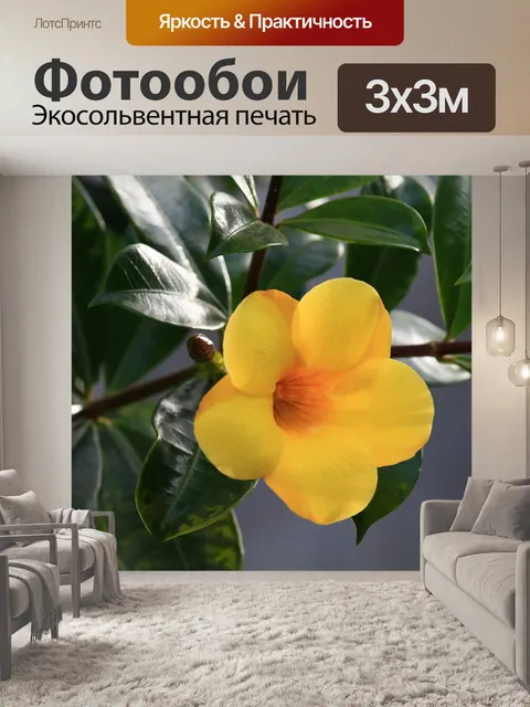 Фотообои Цветы