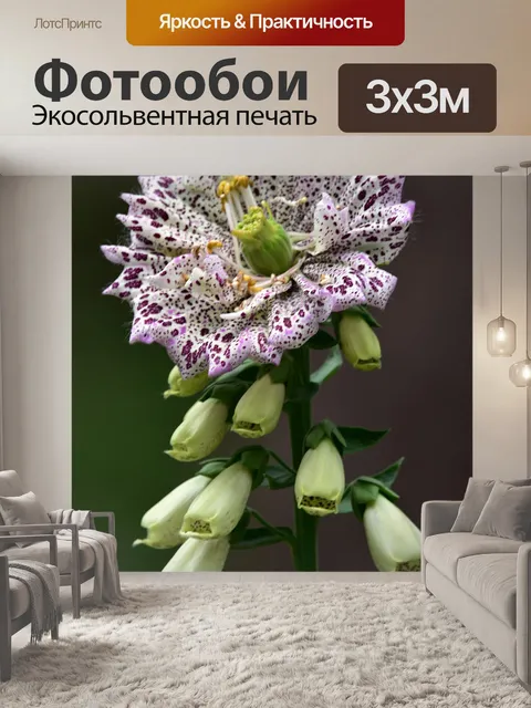 Фотообои Цветы