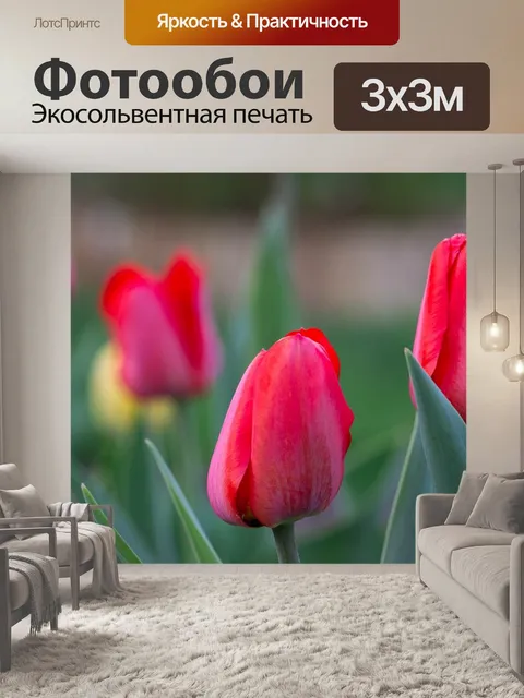 Фотообои Тюльпаны