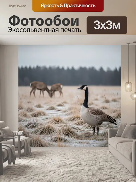 Фотообои Канадская казарка на морозном лугу