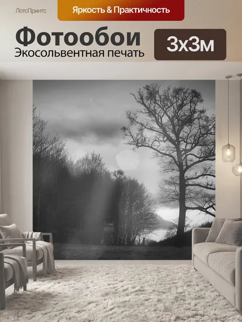 Фотообои Чернить