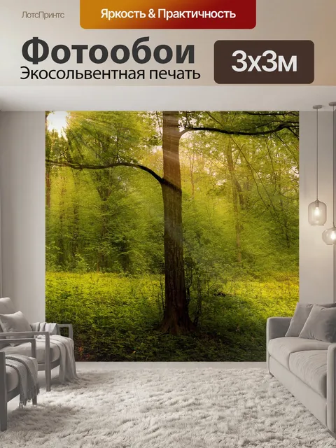 Фотообои Лес