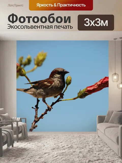 Фотообои Птица