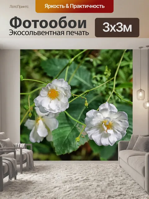 Фотообои Дикие розы