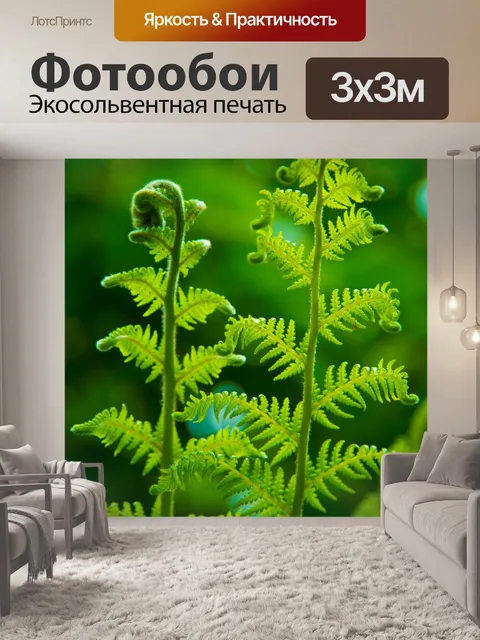 Фотообои папоротник