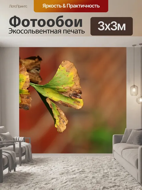 Фотообои чанчинг листьев гинкго билопы